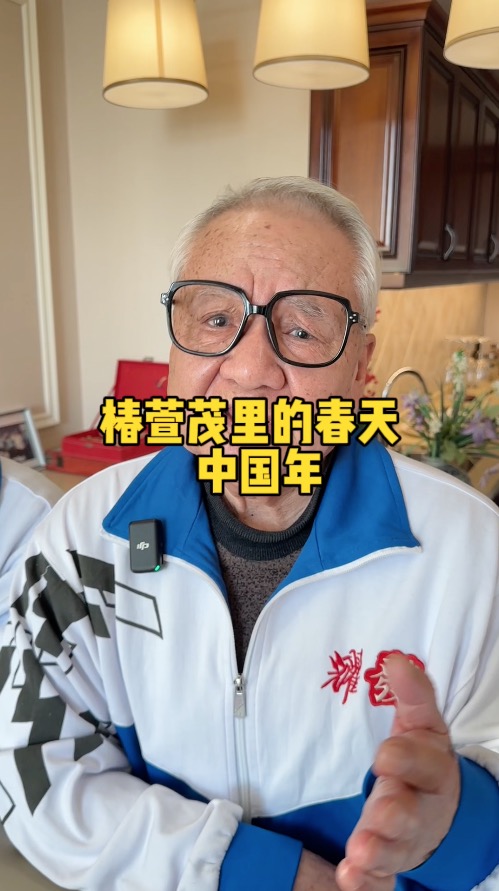 椿萱茂里的中国年（中国年）